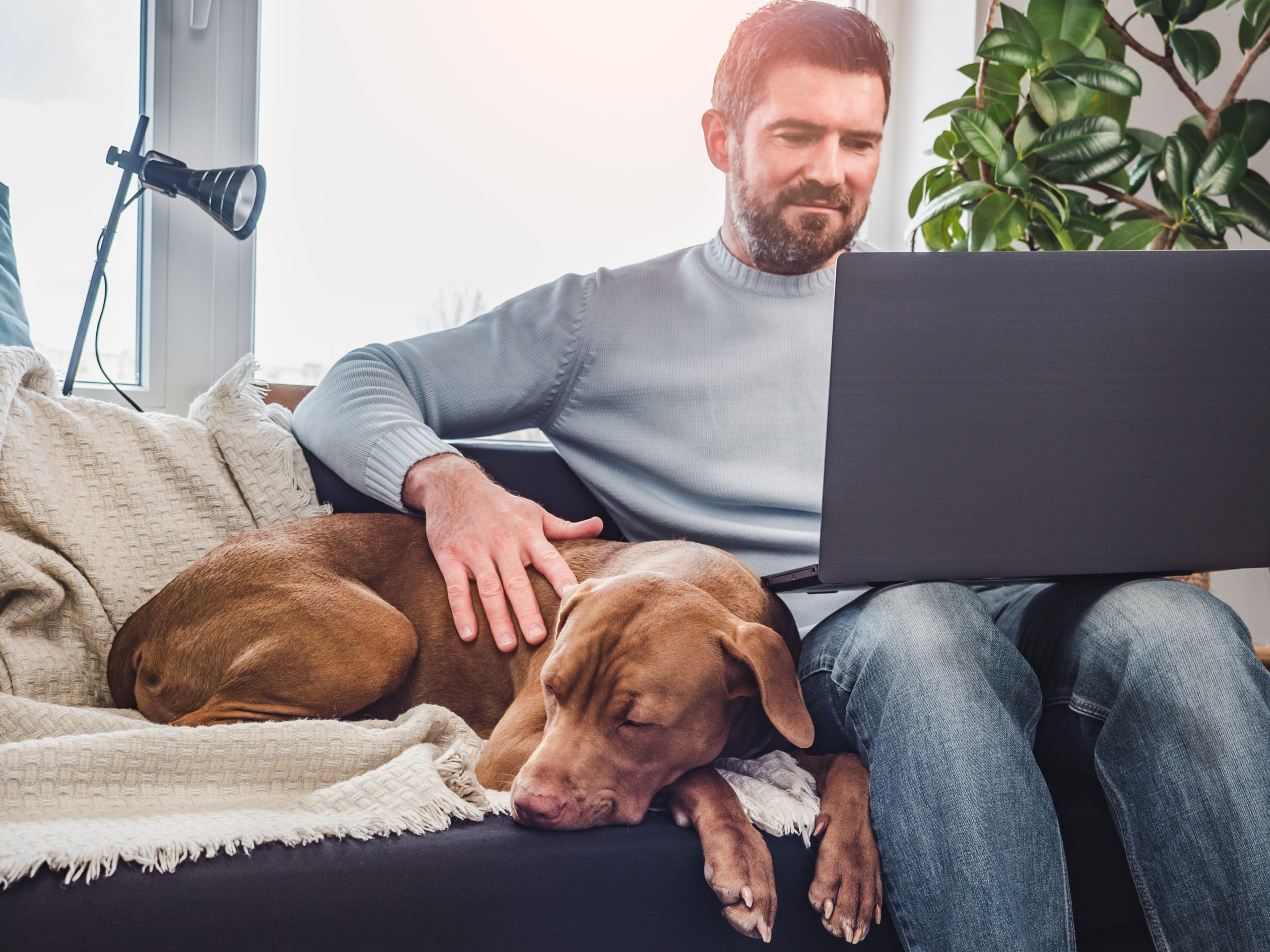 Hombre sentado con su perro, revisando el computador